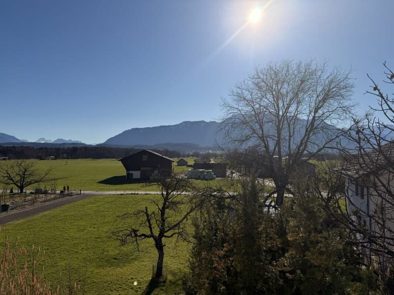 grosszügige 3.5 Zimmer-Dachwohnung an idyllischer Lage im Grünen (10)