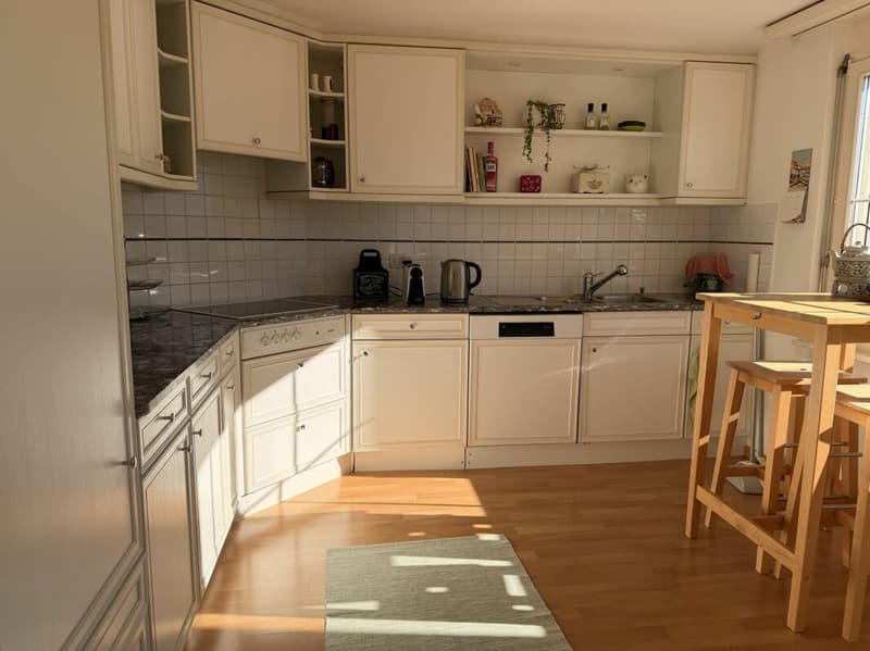 grosszügige 3.5 Zimmer-Dachwohnung an idyllischer Lage im Grünen (4)