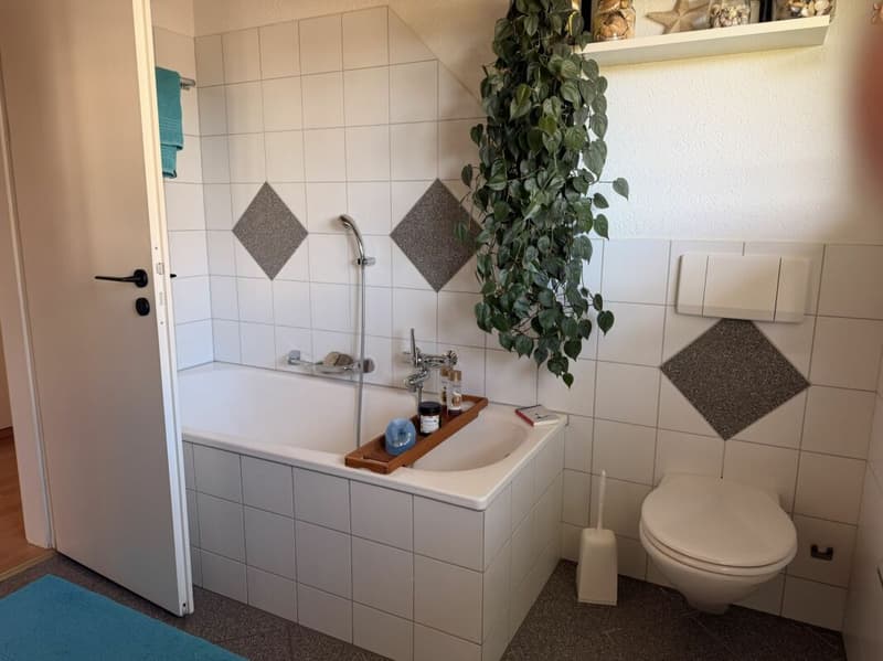 grosszügige 3.5 Zimmer-Dachwohnung an idyllischer Lage im Grünen (7)