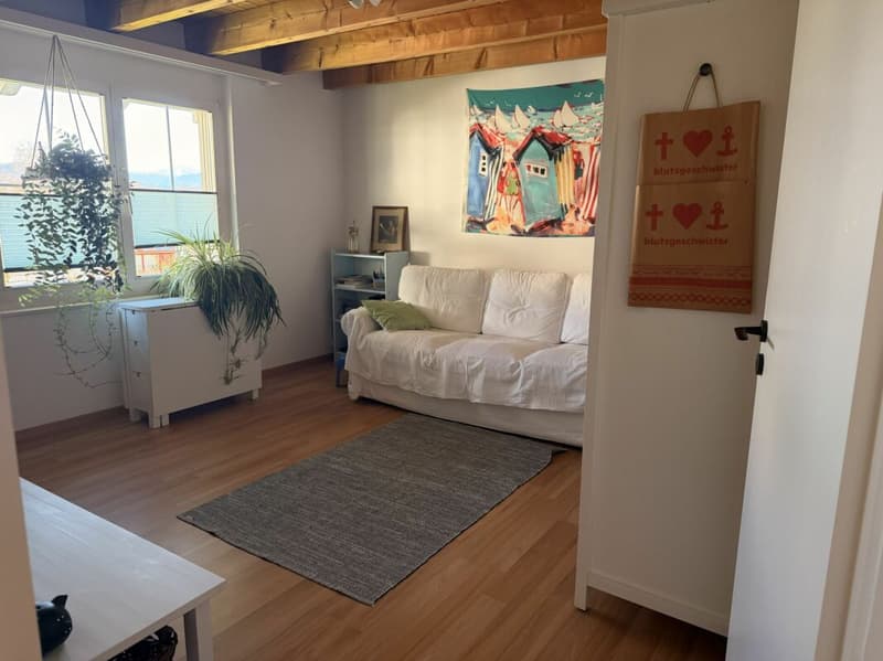 grosszügige 3.5 Zimmer-Dachwohnung an idyllischer Lage im Grünen (6)