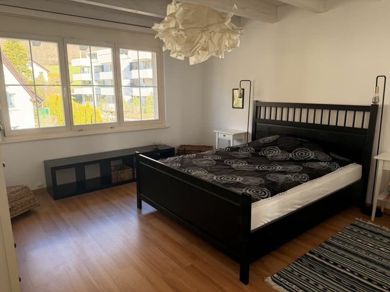grosszügige 3.5 Zimmer-Dachwohnung an idyllischer Lage im Grünen (5)