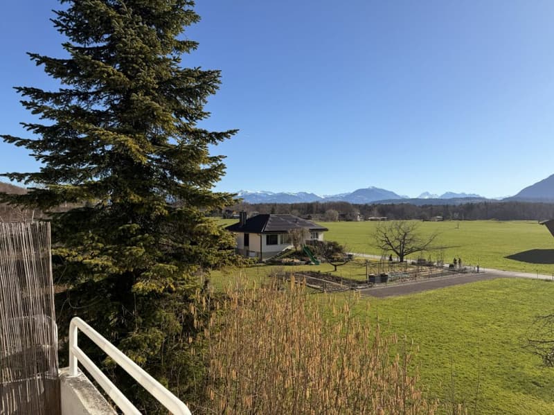 grosszügige 3.5 Zimmer-Dachwohnung an idyllischer Lage im Grünen (11)