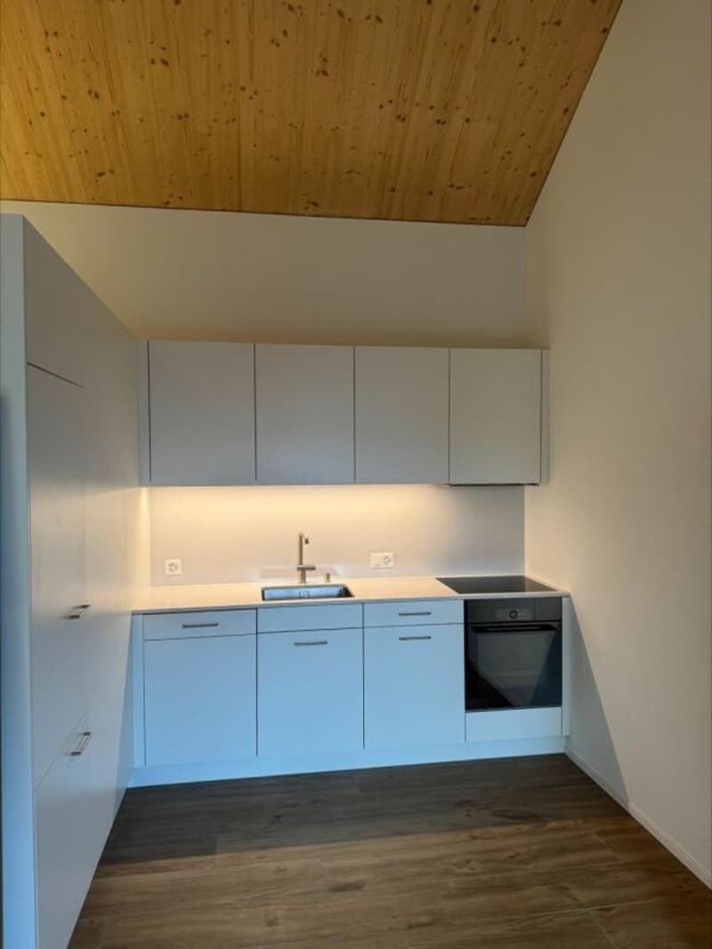 "Zentrum Trübbach" 2.5 Zimmer-Dachwohnung (3)