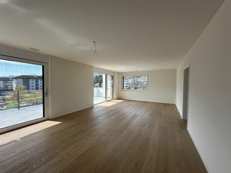 attraktive 4.5 Zimmer-Attikawohnung mit herrlichem Ausblick (3)