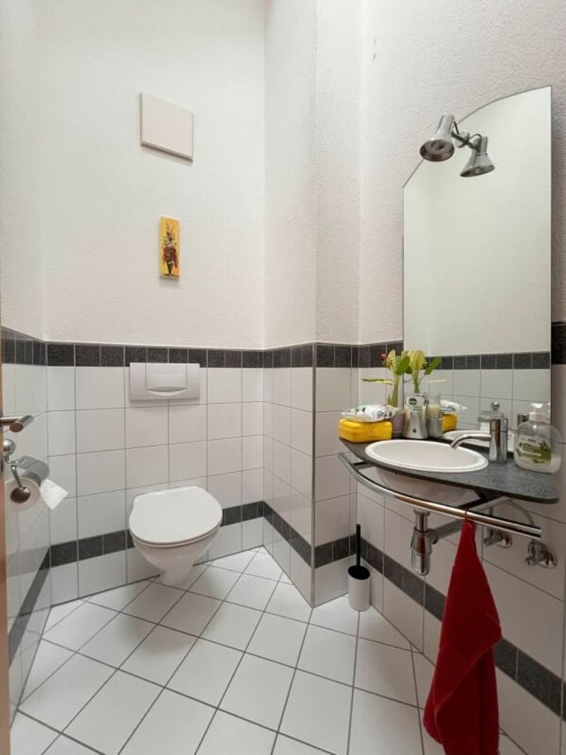 grosszügige 3.5 Zimmer-Dachwohnung im Zentrum von Buchs-Räfis (8)