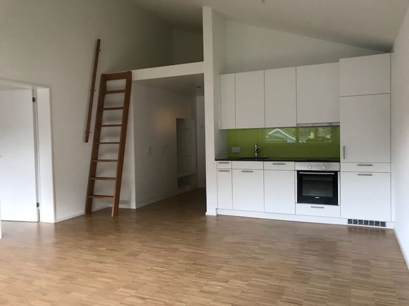 coole 2.5 Zimmer-Dachwohnung (1)