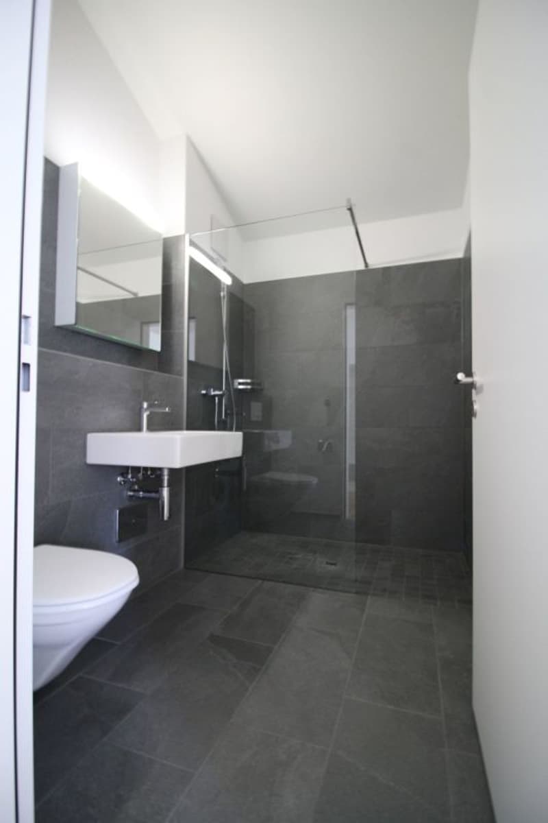 coole 2.5 Zimmer-Dachwohnung (5)