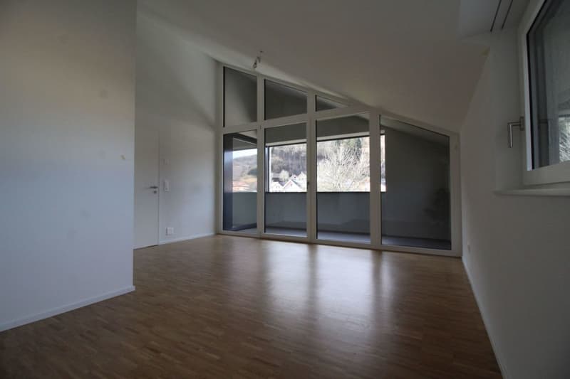 coole 2.5 Zimmer-Dachwohnung (4)