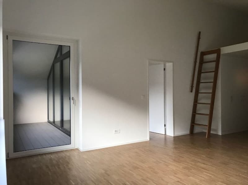 coole 2.5 Zimmer-Dachwohnung (2)