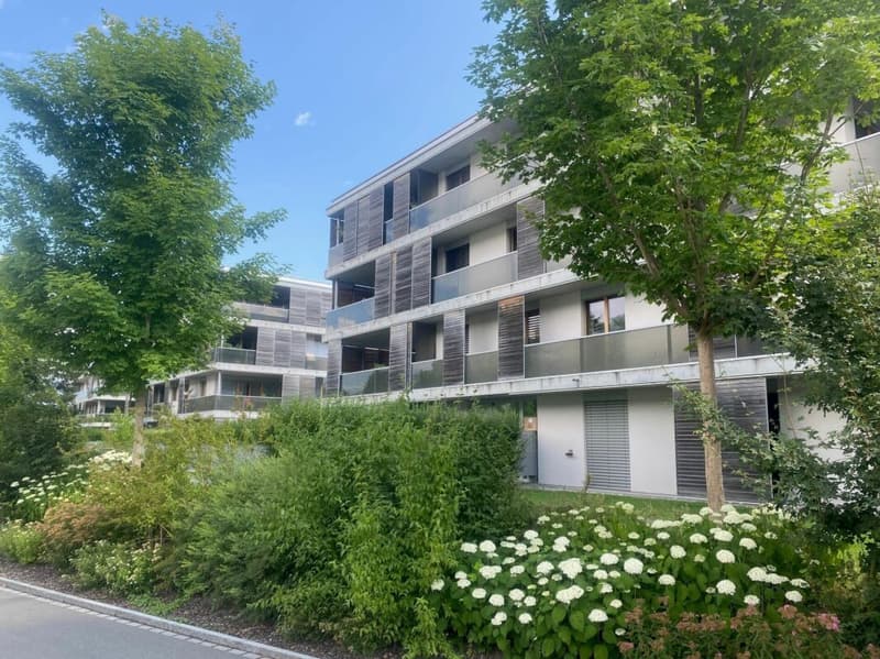 sonnige, attraktive 4.5-Zimmer-Wohnung (8)