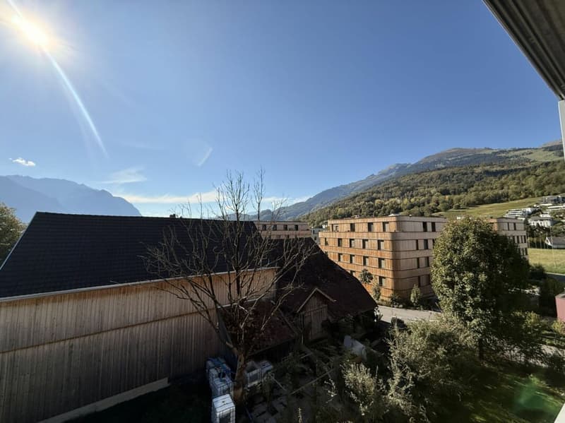 sonnige, attraktive 4.5-Zimmer-Wohnung (7)