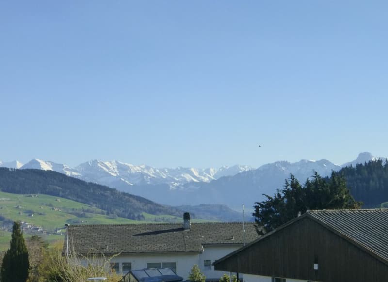 6.5-Zimmer Doppeleinfamilienhaus (7)