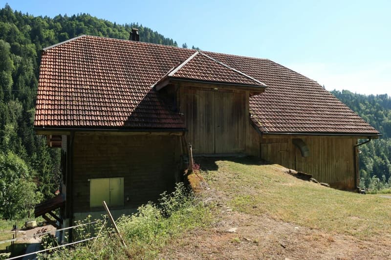 ehem. Pferdehof mitten im UNESCO-Weltkulturerbe Entlebuch (6)