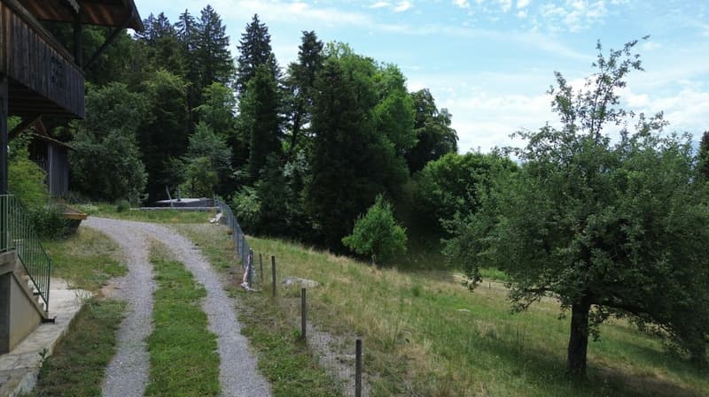 1'550 m2 Bauland an herrlicher Lage (6)
