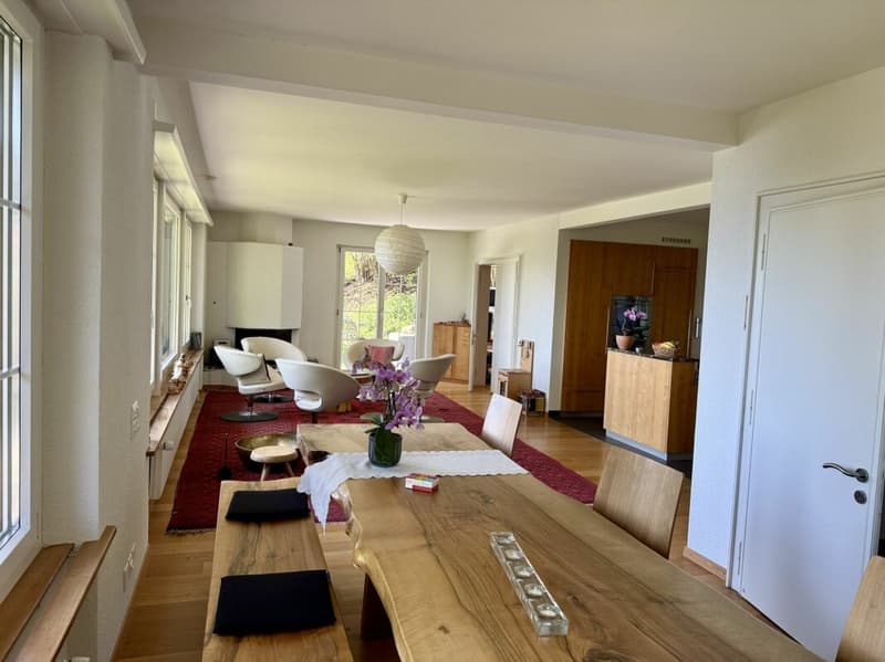 7.5-Zimmer Landhaus, Seesicht oberhalb der Nebelgrenze (12)