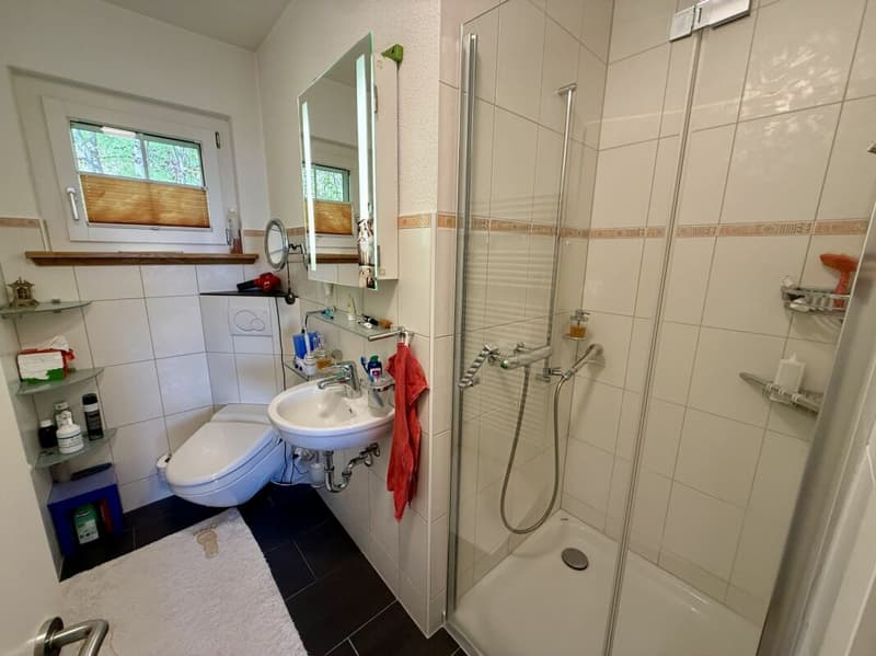 7.5-Zimmer Landhaus, Seesicht oberhalb der Nebelgrenze (22)