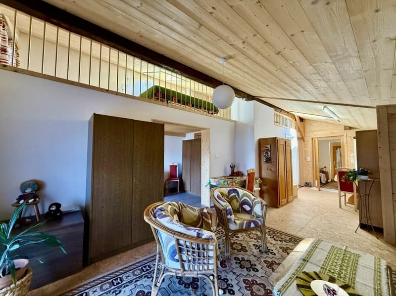 Saniertes ehemaliges Bauernhaus (DEFH) (14)