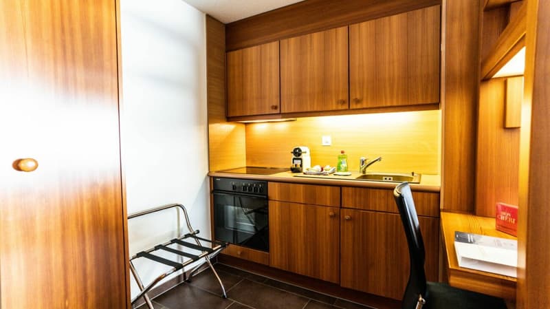 Beautifully furnished holiday apartment with balcony (4)