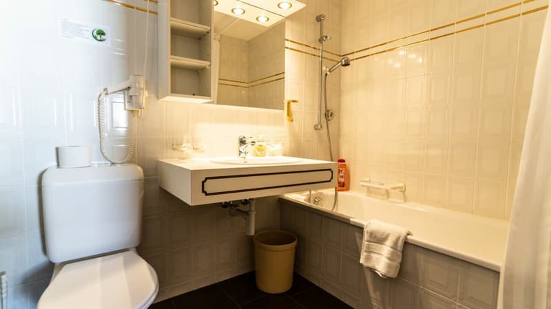 Beautifully furnished holiday apartment with balcony (9)