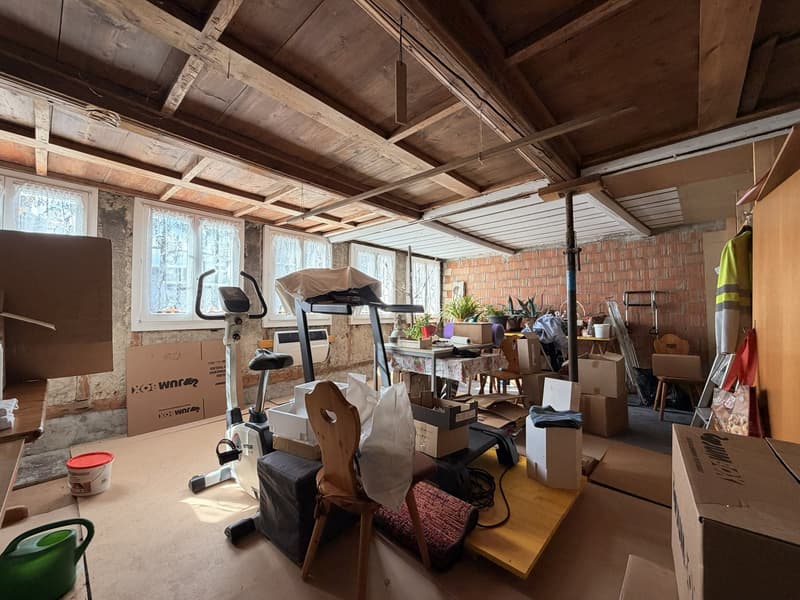 room with wooden ceiling, brick wall, treadmill, storage boxes, chair, table, plants, windows