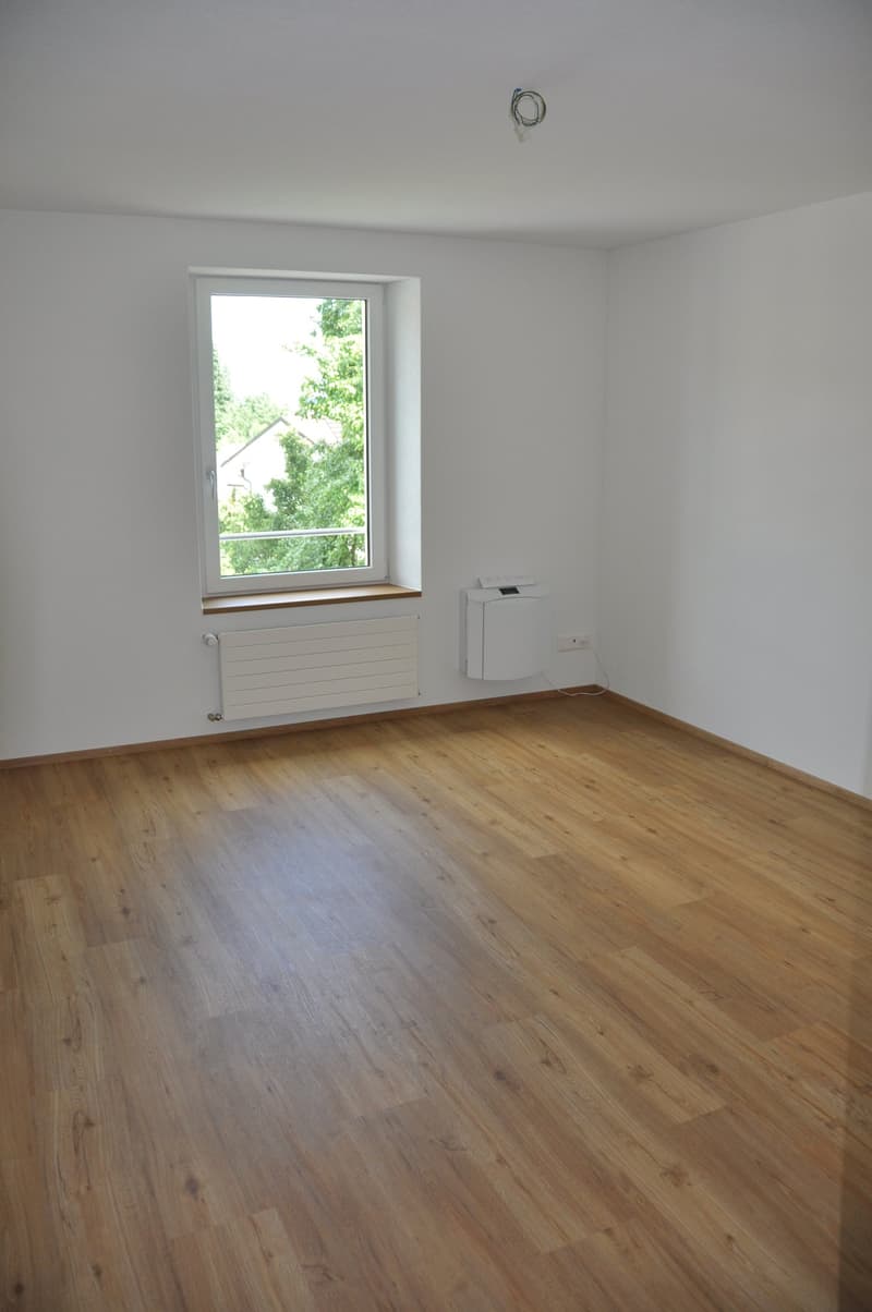 Hübsche 4.5 Zimmerwohnung mit schöner Tessinerlaube (6)