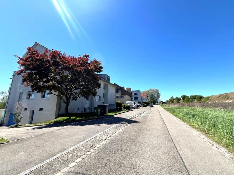 Renovierte 1.5-Zimmer-Wohnung mit Sitzplatz und Parkplatz in Zürich Seebach (2)