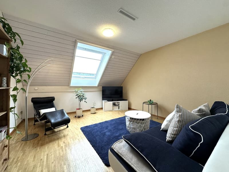 Grosszügige Attika-Maisonettewohnung in TOP-Zustand (4)