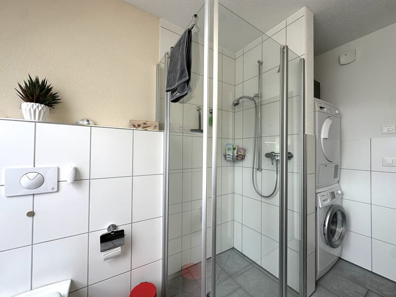 Grosszügige Attika-Maisonettewohnung in TOP-Zustand (9)