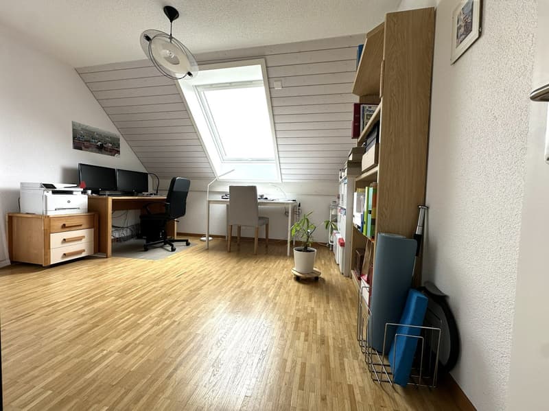 Grosszügige Attika-Maisonettewohnung in TOP-Zustand (5)