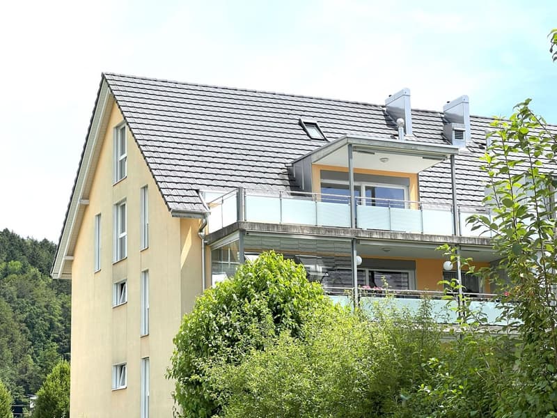 Grosszügige Attika-Maisonettewohnung in TOP-Zustand (1)