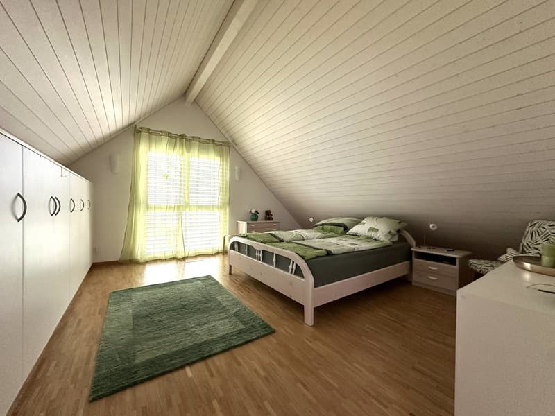 Grosszügige Attika-Maisonettewohnung in TOP-Zustand (11)