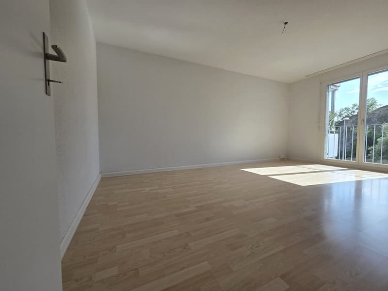 Helle 3.5-Zimmer-Wohnung mit Balkon und schöner Aussicht in Holderbank (3)