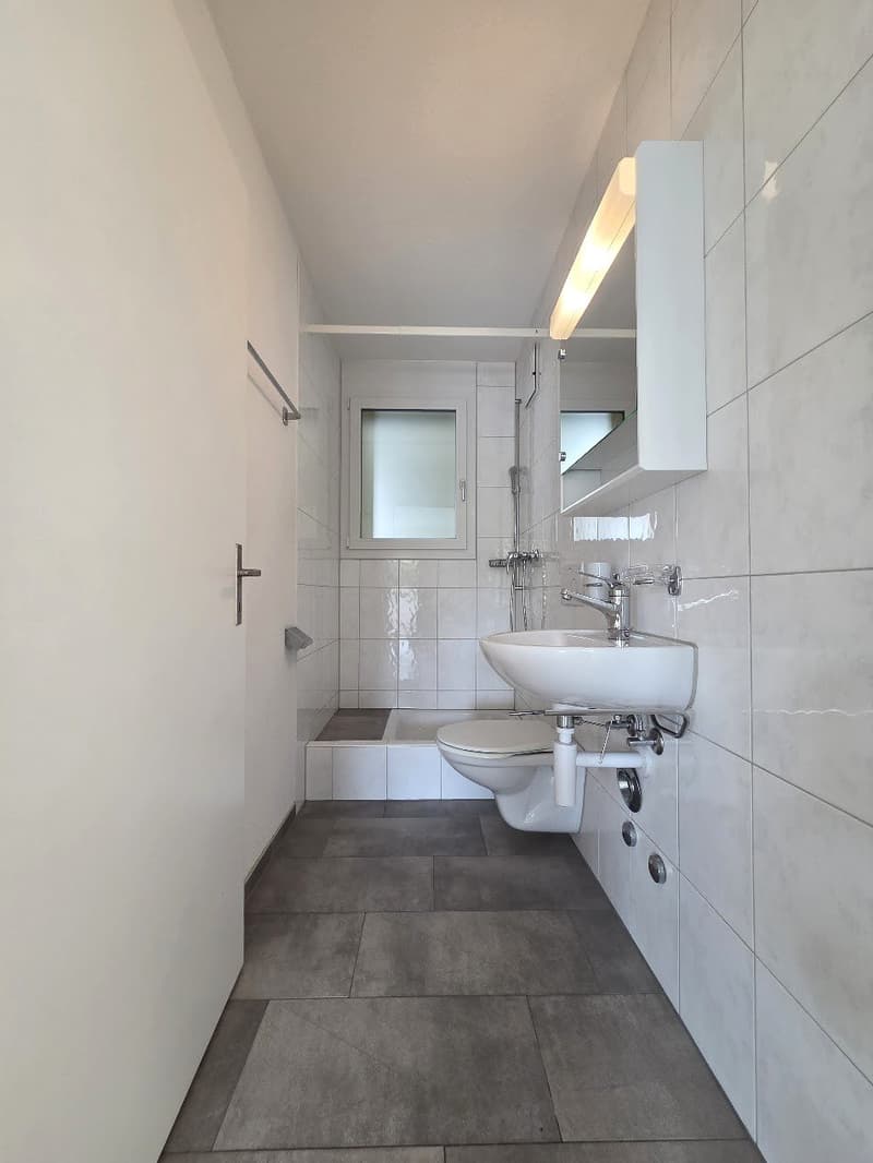 Helle 3.5-Zimmer-Wohnung mit Balkon und schöner Aussicht in Holderbank (9)
