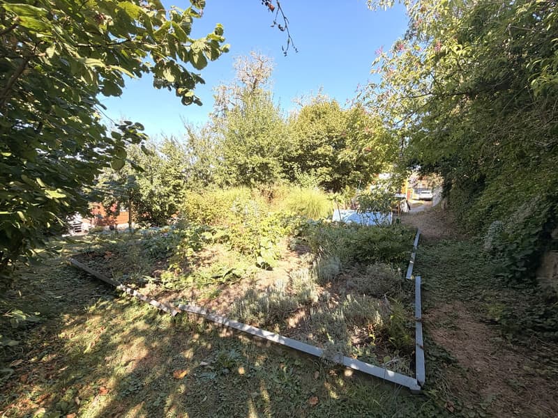 Verwirklichen Sie Ihren Wohntraum in Zetzwil (3)