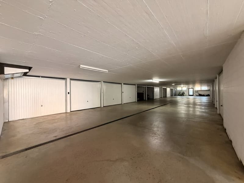 Ruhig wohnen und zentral leben – attraktive 4.5-Zimmer-Erdgeschosswohnung (15)
