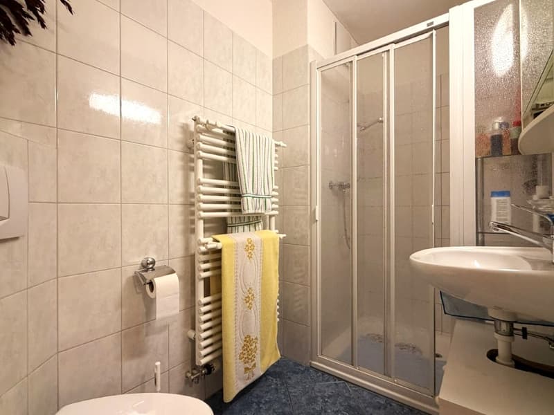 Ruhig wohnen und zentral leben – attraktive 4.5-Zimmer-Erdgeschosswohnung (6)