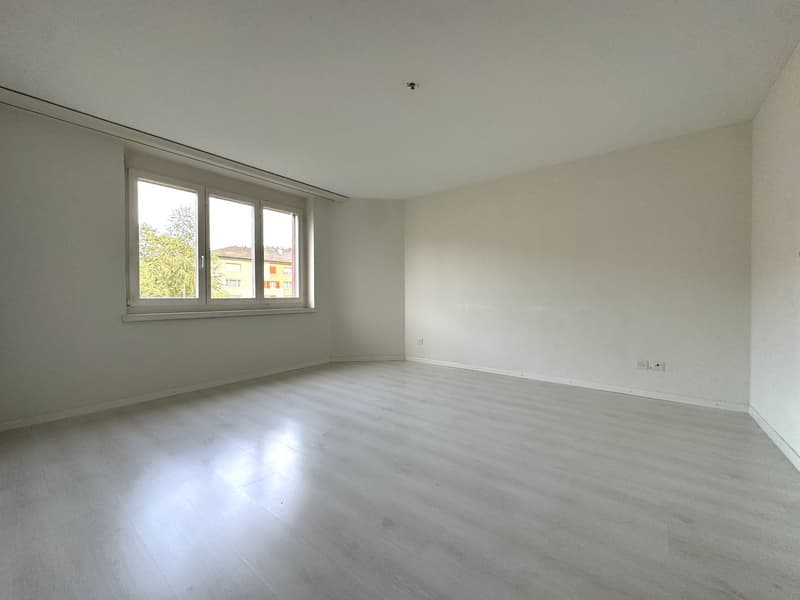 Gepflegte 3.5-Zimmer-Wohnung in Reinach – Sofort verfügbar! (5)