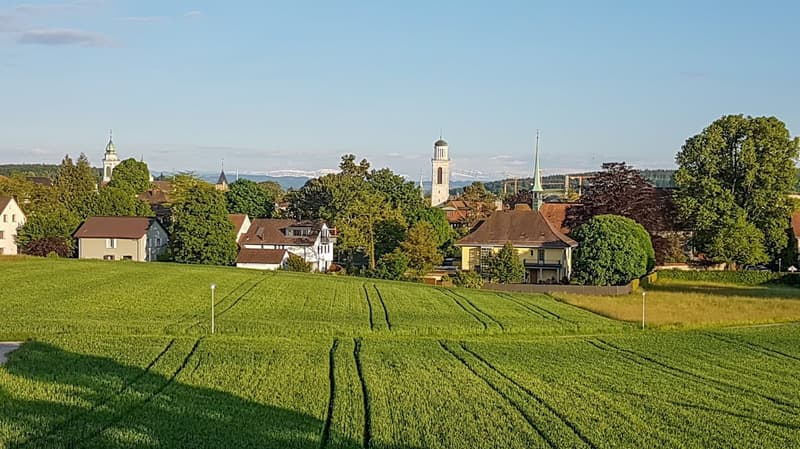 Stadtnahe 5.5 Zimmer Wohnung mit Hallenbad & Sauna (4)