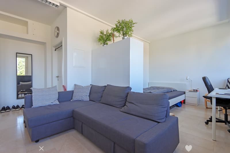 Moderne und helle 1-Zimmerwohnung (4)