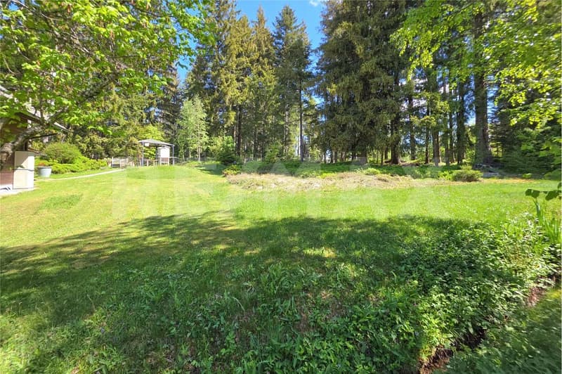 Wohnen, wo die Natur beginnt  Ihr Rückzugsort direkt am Waldrand in Rüschegg Heubach. (5)