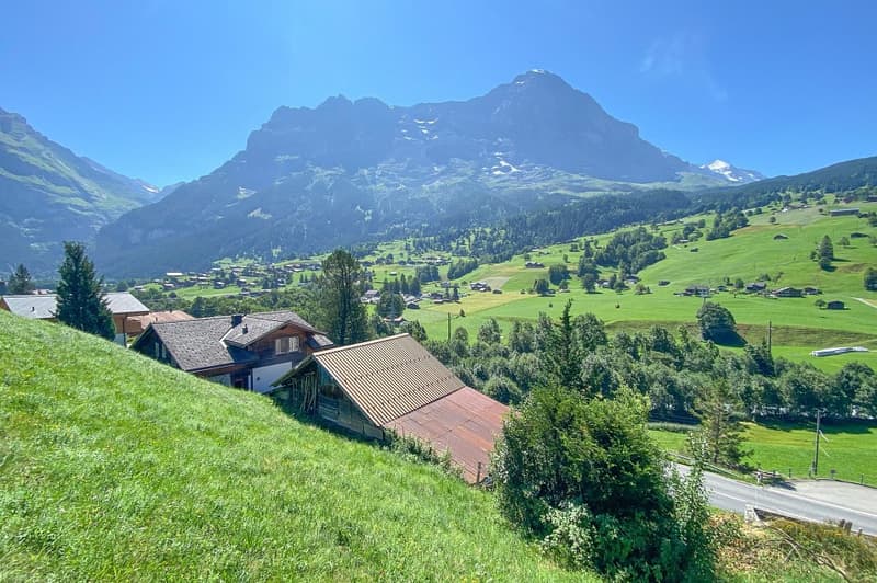 Baugrundstück mit grossartiger Aussicht (1)