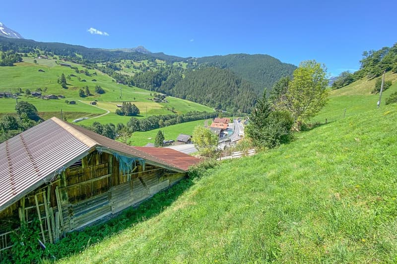 Baugrundstück mit grossartiger Aussicht (4)