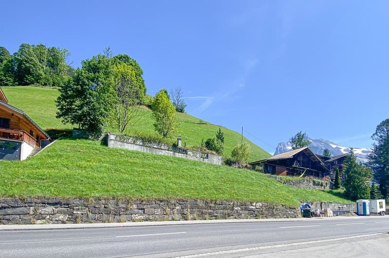 Baugrundstück mit grossartiger Aussicht (3)