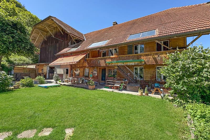 Grosses Bauernhaus mit 2 Wohnungen (2)