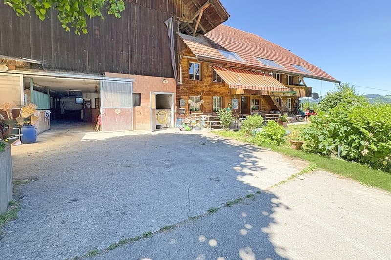 Grosses Bauernhaus mit 2 Wohnungen (5)