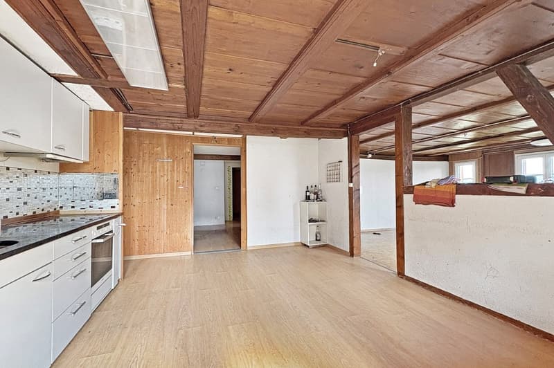 Grosses Bauernhaus mit 2 Wohnungen (11)
