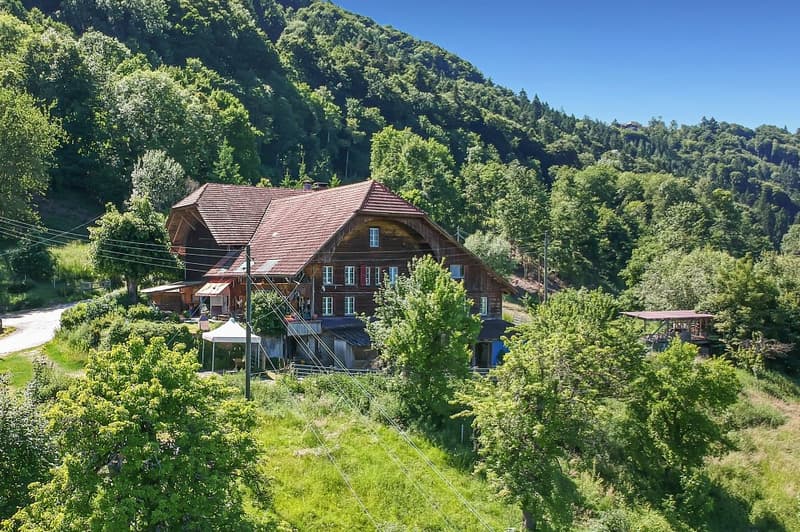 Grosses Bauernhaus mit 2 Wohnungen (4)