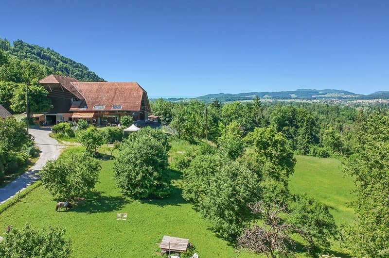 Grosses Bauernhaus mit 2 Wohnungen (3)