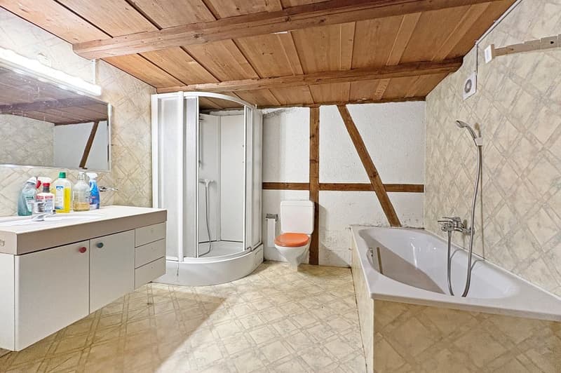 Grosses Bauernhaus mit 2 Wohnungen (13)