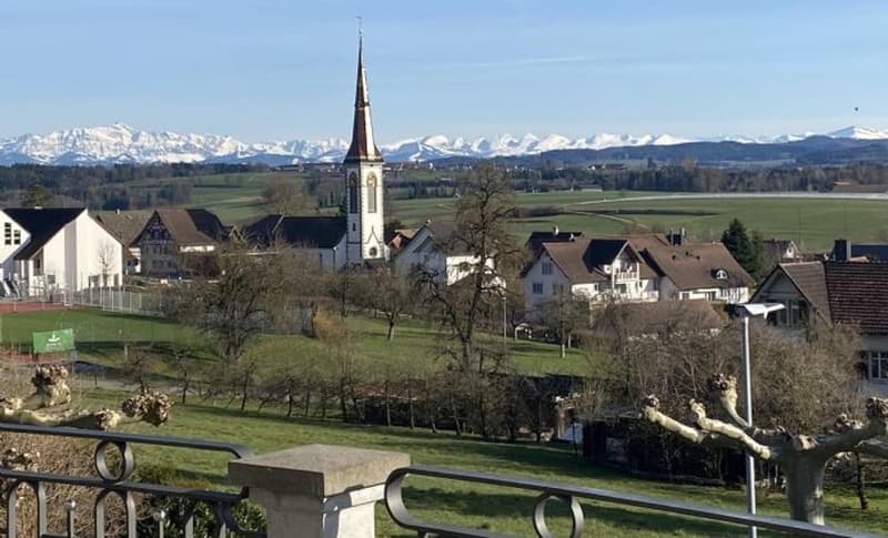 Exklusive VILLA mit Panorama- und Bergsicht zu verkaufen – Kanton Thurgau – Raum Frauenfeld (1)
